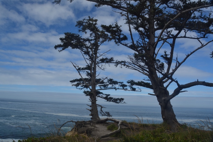 Scenic view along the coast